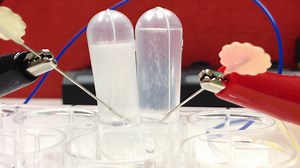 水の電気分解と化合（爆鳴気）のマイクロスケール実験ビデオ