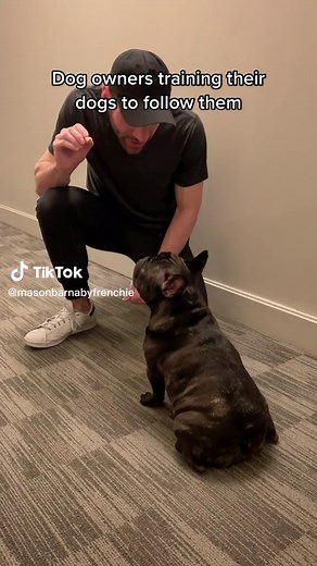 Mason on TikTok