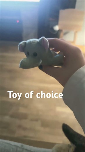 How to get your ESSA to hold a toy