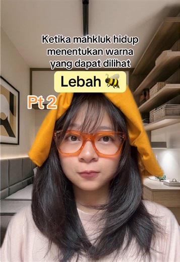 Udang mantis maruk banget ternyata 🙂‍↔️ | warna ultraviolet