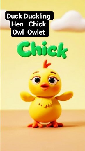 Duck Duckling Hen Chick Owl Owlet #englishforbeginners #cartoon #readingeanglish #esl #word