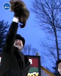 Early spring is on the way! | Daily Mail Animals