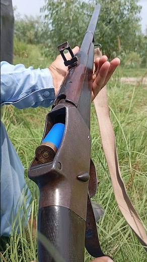 Guess the Shotgun Name!