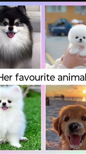 rose normal details that every real blink should know