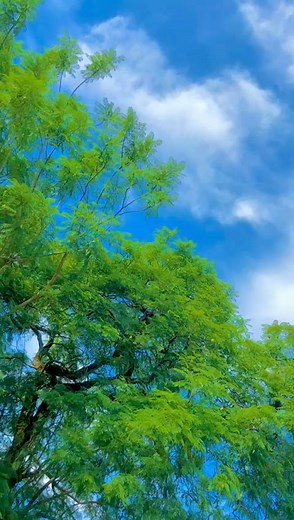 It's the entry for me 😂🔥, Rekeche 🔥🇿🇲, Team half life | ChaCha ZM