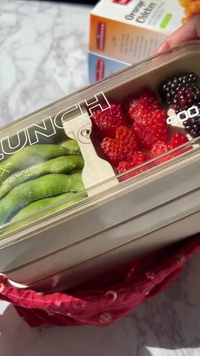 Quick & Easy Bento Box Recipe for Summer Picnics | InnovAsian Partner