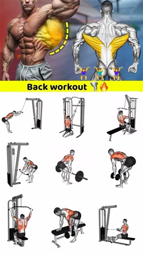 best back workout 🏋️‍♀️#subscribe #motivation #trending #viral #shorts #video #gym #tips #exercise