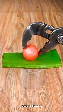 Repairing Hacks So Smart You’ll Never Forget Them