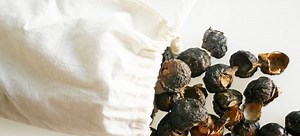 6 Money-saving Uses for Sustainable Soap Nuts | DoItYourself.com