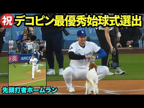 ㊗️デコピン最優秀始球式選出！デコピンが完璧な始球式を行い、パパは先頭打者ホームランで球場大熱狂！！【現地映像】2024年8月29日