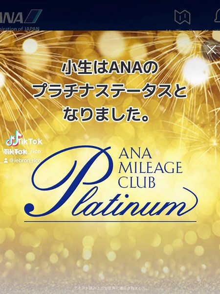 ANAプラチナ会員のステータス向上の秘訣