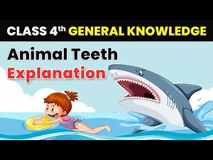 Animal Teeth - Explanation | Class 4 General Knowledge | CBSE 2024-25