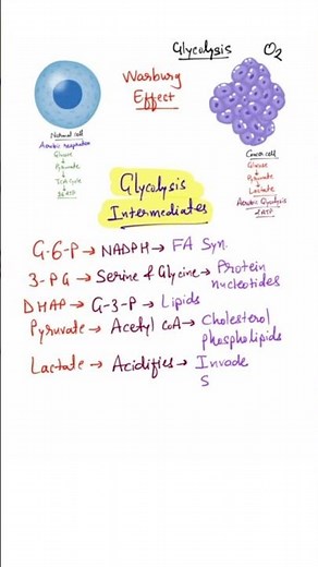 Warburg effect | FDG-PET scan | #biochemistry #medicalbiochemistry #mbbs