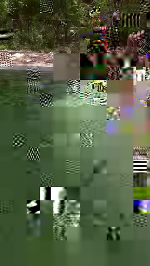 Pool day! Since we’re still waiting on the gator permit paperwork to clear, we have a perfectly good swimming pool for me and the animals to enjoy!! The emu LOVED swimming, clover wasn’t a fan once she got in, Comet enjoyed a nice soak of the feet, and Ban was swimming her littler heart away before she was even in 😂. I’m so glad we have a very deep well with beautifully clear water, but man was it cold! I want to get a heater installed already 😂. I can’t wait to have gators in here to swim wit