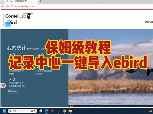 手把手教你记录中心数据导入ebird