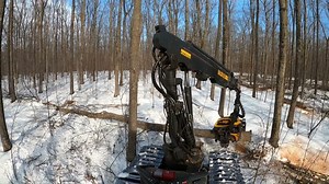 Ponsse Ergo 8w C5 H8 hardwood