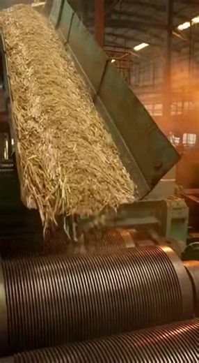 Understanding the Real Sugar Mill Process