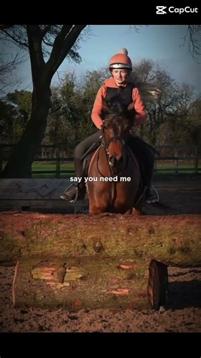 Harlow and Dandy #horse #equestrian #equestrianjourney #riding #pony #horseriding