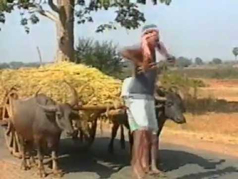 Halia Pila .. Pure Classic Old Sambalpuri Video Songs