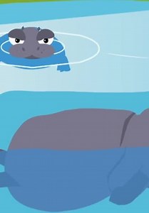 Zoomix S01:E07 - Episode 7