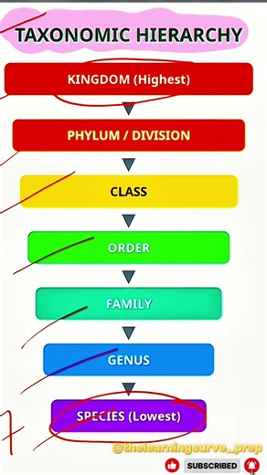 ||🤯Taxonomy Trick You’ll Never Forget 😎 || Biology Made Easy🔥🔥#biology #biologytricks #ncertbiology