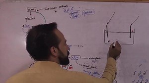 26K views · 725 reactions | #Pharmaceutics_Lectures Ionization | Up Teaching Academy | Facebook