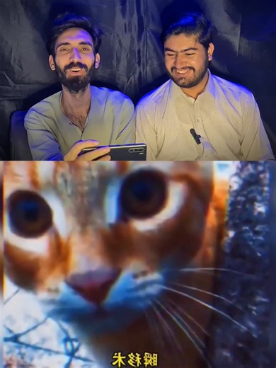 5.6M views · 71K reactions | The mind blowing abilities of Cats 勞#cats #animals #catsoftheday | QuickReact Zone | Facebook