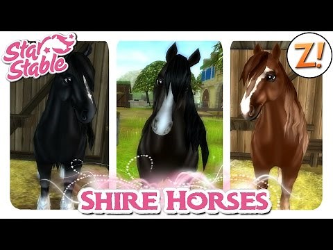 Star Stable [SSO]: Shire Horse [Update 07.10.2015] | Let's Play ♥ [GER/DEU]