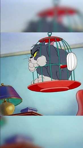 Cuckoo 🐤 🕰️ #TomandJerry #ClassicCartoons #Cartoonito #shortsfunny #shorts