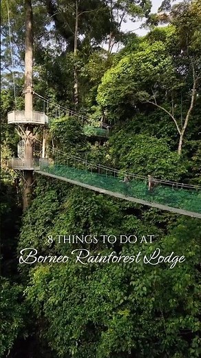 Here's 8 Things You Can Do at Borneo Rainforest Lodge, Danum Valley 🌳