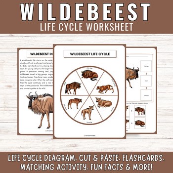 African Wildebeest Life Cycle: Grassland Animal Science Unit Study & Fun Facts!