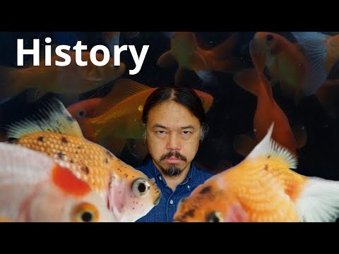 【Goldfish EvoDevo】 #01 History【Re-Edited Audio】