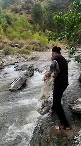 513K views · 1.1K reactions | Narrow place for fishing but perfect cast #fishing | Net Fishing with Hamza | Facebook