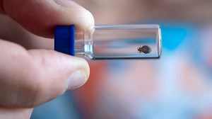 California Department of Education building dealing with potential bed bug infestation