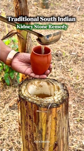 Traditional South Indian Kidney Stone Remedy : Reduces Burning & Improves Urine Flow #kidneystones