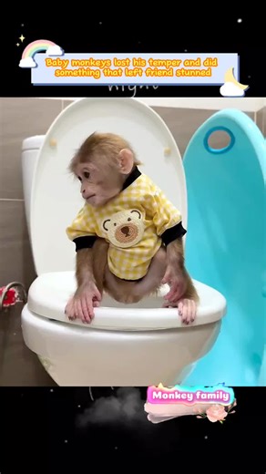 Baby Monkey Shows Unexpected Temper Tantrum