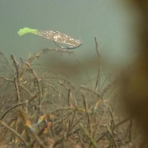 This ONE LURE has been responsible for: ✅ The MOST overslot snook in a year with a lure. ✅ My BIGGEST redfish on a lure. ✅ MOST cobia ever caught on reefs. ✅ MOST tripletail ever caught under buoys. If you're a saltwater angler, the Prawn USA is a must-have! Get The Prawn USA and Hoss Weedless Football Jigs Here: 👉👉 https://fishstrong.com/collections/the-power-prawn-usa-plus-the-hooks-and-jig-heads-we-suggest 300 Positive Reviews can't be wrong! WHAT ANGLERS ARE SAYING: ***********************