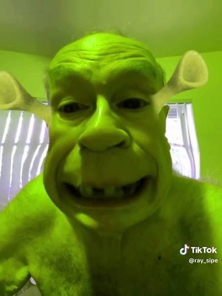 Have a Shrektacular Day with Shrek
