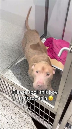 Please we need donations links in bio