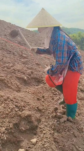 479K views · 3.1K reactions | Ua teb os | Yangmee See Thro | Facebook