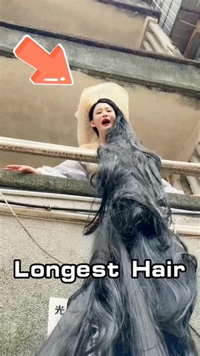 The Longest Hair in the World
