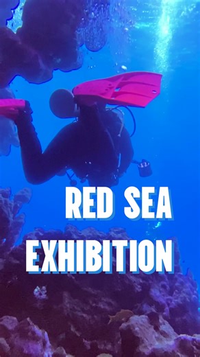 It’s time for the Red Sea Exhibition! Having returned from a field trip out to the Red Sea, a group of BA(Hons) Marine and Natural History Photography (MNHP) students are exhibiting their sublime photographs that document their myriad of wildlife encounters. Open to the public from tomorrow, Sat 10th - Sun 18th February. The exhibition can be found in the Institute of Photography Gallery on Penryn Campus. | Falmouth University