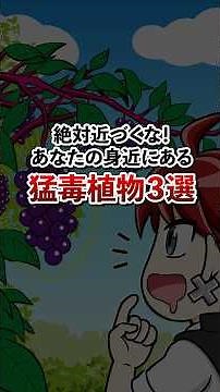 ⚠️危険⚠️ あなたの身近にある猛毒植物３選 #アニメ #雑学 #植物