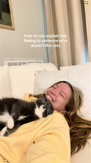 A Cat's Deep Love for Their Human Bond