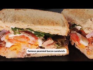 Things to Do and See in Toronto | Ultimate Travel Guide