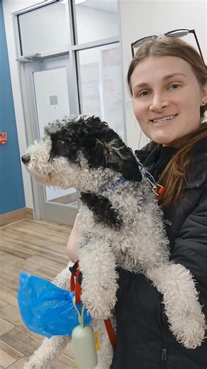 January Punch Card Tuesday was a HIT! 🎉🐾 Thank you to all our amazing campers who joined Punch Card Tuesday and turned weekly playdays into a FREE Daycamp day in February. We loved seeing your pups each week and appreciate you being part of our Camp family! 💛 #campbowwow #campbowwowportcharlotte #portcharlottecampbowwow #portcharlottedoggydaycare #doggydaycareportcharlotte | Camp Bow Wow - Port Charlotte, FL