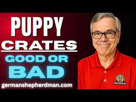 Dog Crates Good or Bad...Here's the TRUTH