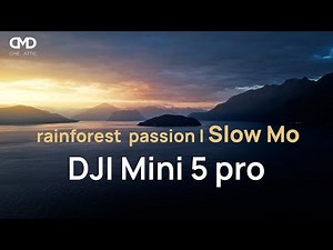 Rainforest passion | Slow motion test in low light | DJI Mini 5 pro