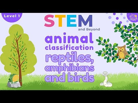 Classifying Animals KS1 | Reptiles, Amphibians, and Birds