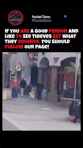 Punishedthieves on Instagram: "follow @Punishedthieves for more 💀 And here is a text that tells the story of Ilia Topuria. 👇 Origins Ilia Topuria was born on January 21, 1997, in Halle (Westphalia), Germany, to Georgian parents. (Wikipedia) At the age of six, his family returned to Georgia, where he began practicing Greco-Roman wrestling at school together with his brother. (Sportskeeda) Later, in 2012, the family moved to Alicante, Spain, where Ilia started training in mixed martial arts (MMA